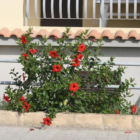 Baia Dei Canonici Aparthotel Villaggio Le Rocelle Eksteriør bilde